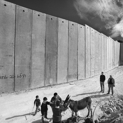 The Wall, Francesco Cito