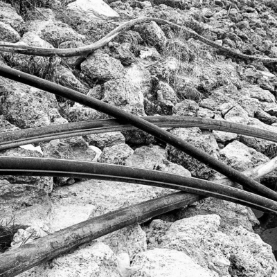 Thirsty Sicily, Massimo Di Nonno