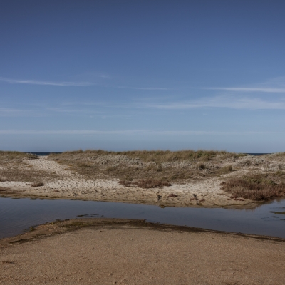 Fiume Santo, Roberto Deaddis
