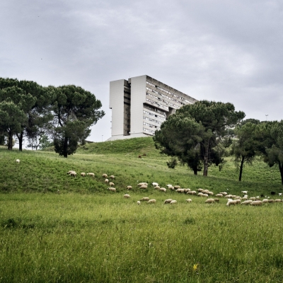 Il Palazzo dei destini incrociati, Aldo Feroce