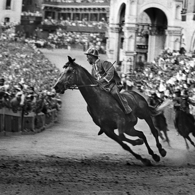 Il palio di Siena, Francesco Cito