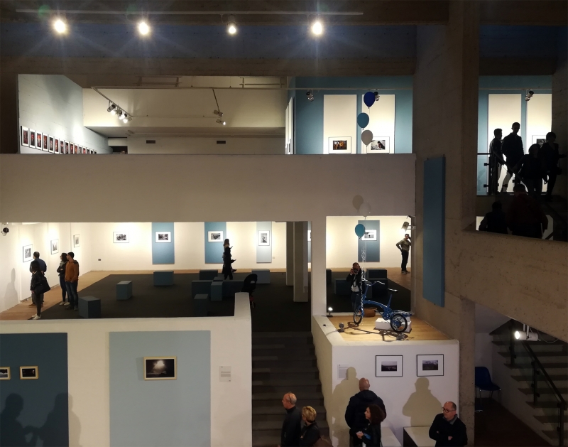 Tante mostre fanno festival