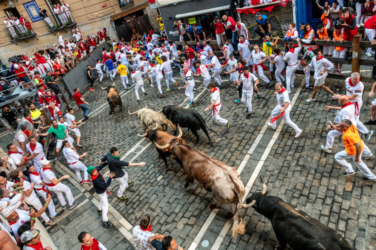 San Firmino, Pamplona, Daniele Bellucci