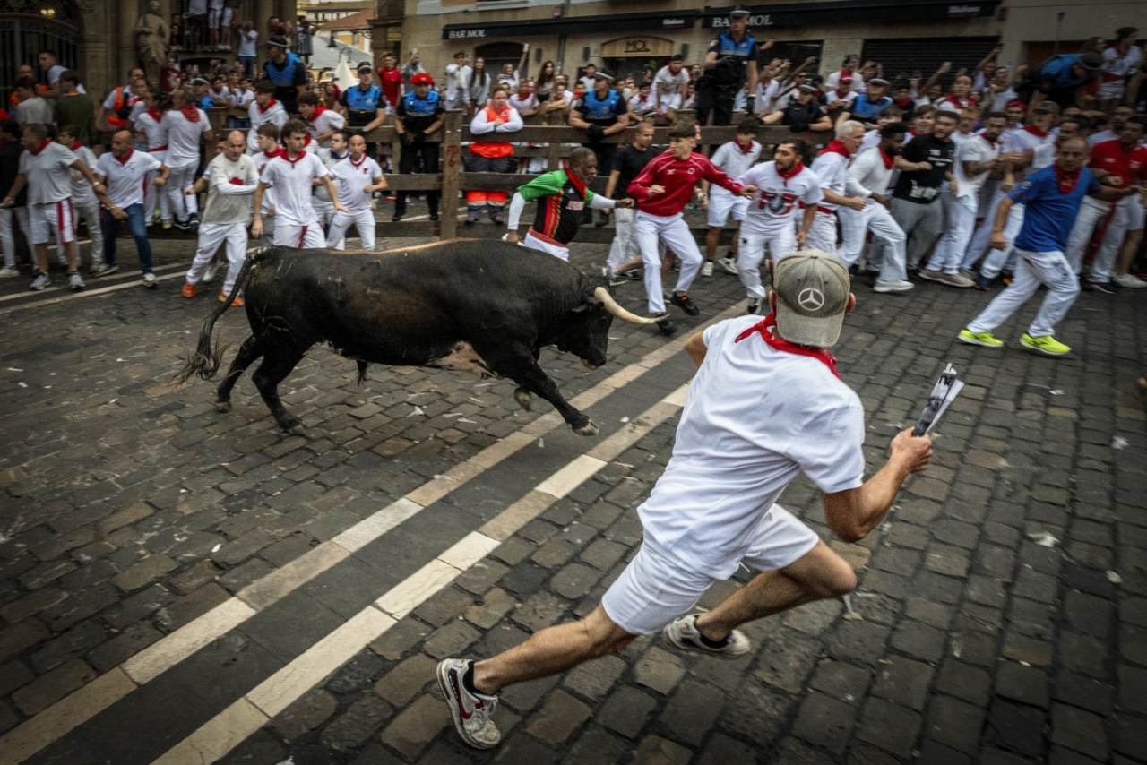 San Firmino, Pamplona, Daniele Bellucci